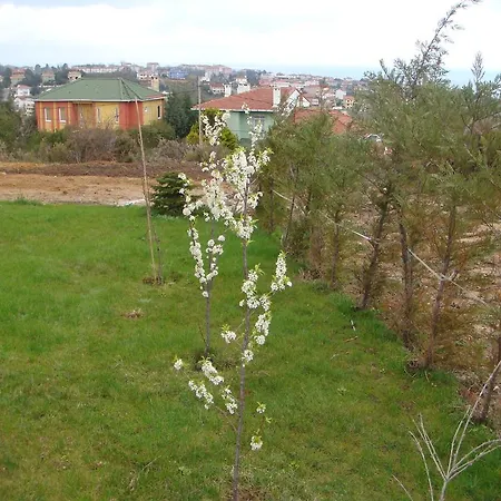 Guest house Titanik Sile